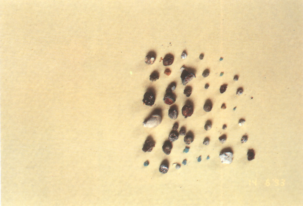 根造上師舍利(1)