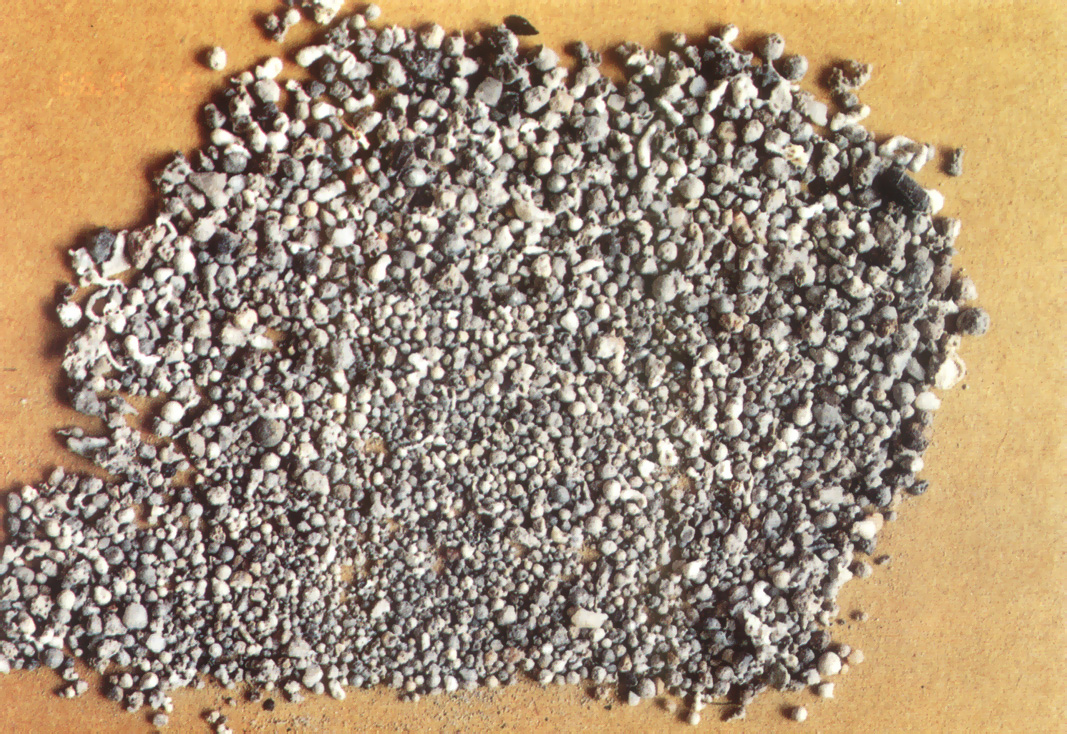 根造上師舍利(2)