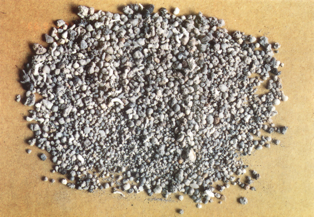 根造上師舍利(3)